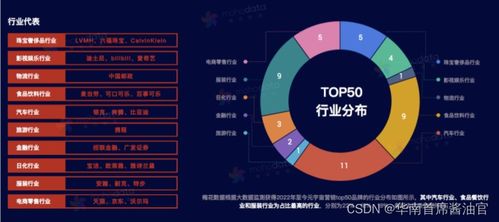 元宇宙營銷新紀(jì)元 策略、玩法與軟硬件開發(fā)實戰(zhàn)